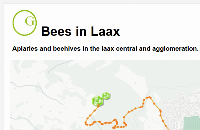 Bee Document thumbnail